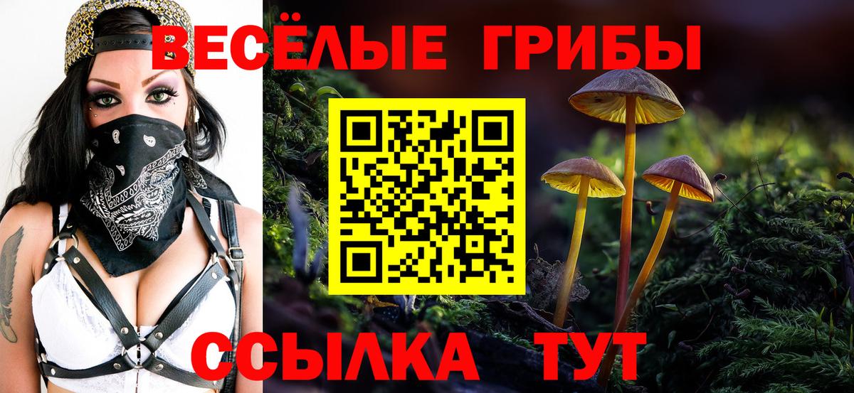 Псилоцибиновые грибы мицелий Киселёвск