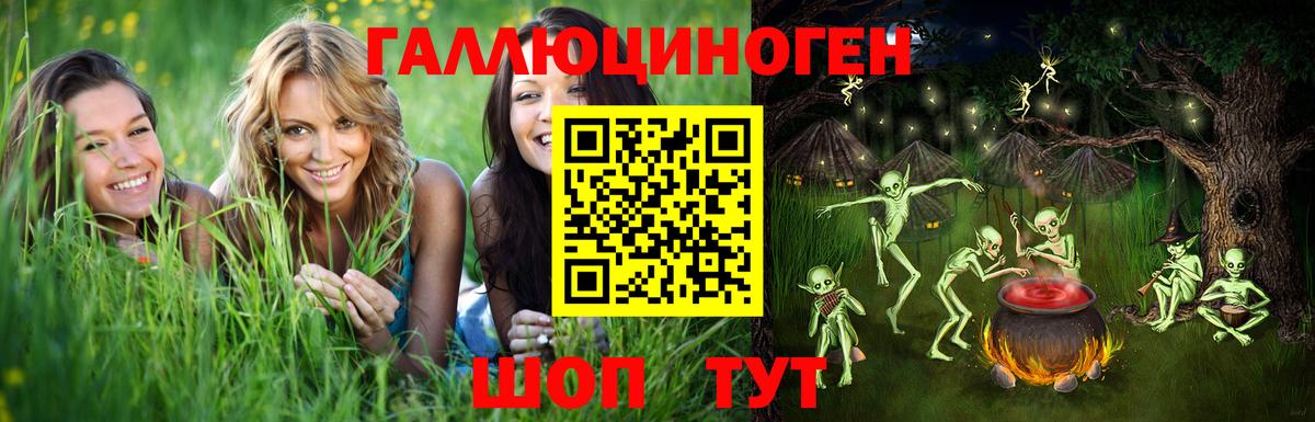 Киселёвск  Галлюциногенные грибы Psilocybe  Вход с VPN 